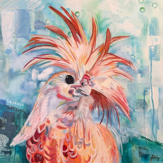 My Coop Vibes